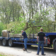 Bomen op dieplader