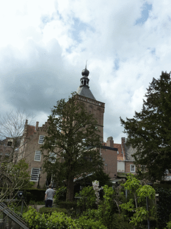 Kroon verkleinen, het snoeien van een taxus in Culemborg